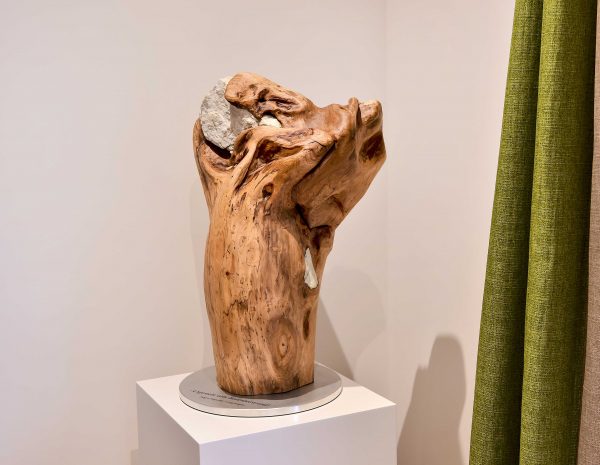 Skulptur aus Bodensee-Treibholz von Jürgen Nagurski